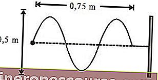 Primjer problema širenja brzog vala