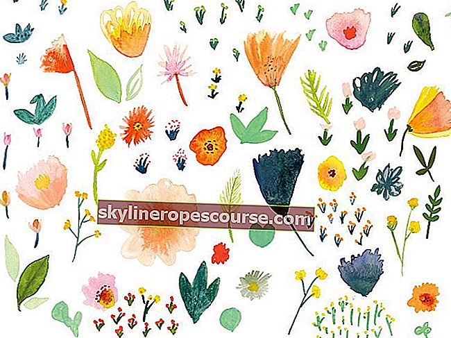 
   10+ lijepih i lijepih cvjetnih slika različitih vrsta
  
