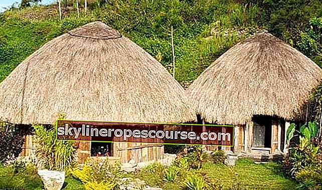 Традиционна къща на Папуа, дизайн на конус от сламен покрив |  Berbol.co.id