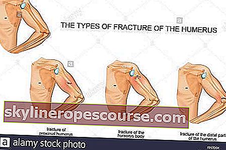 Функция на горната част на ръката