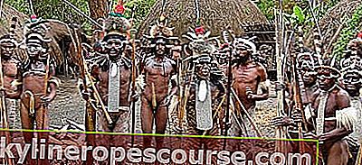 Koje su karakteristike tradicionalne papuanske odjeće?  - Modna znanost - Dictio Community