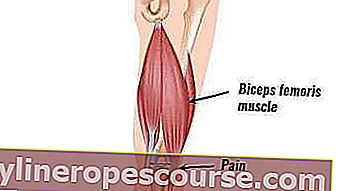 Функцията на мускулите на човешката телешка кост