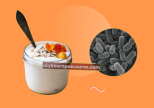 
   De rol van bacteriën achter het maken van yoghurt
  