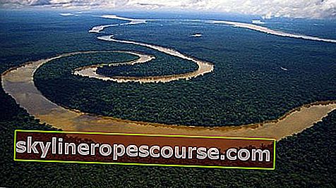 De langste rivier van het Amerikaanse continent, Amazon