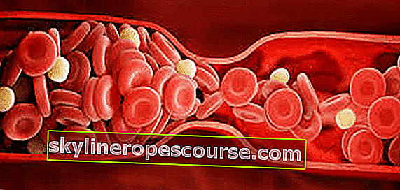 bloedstollingsproces