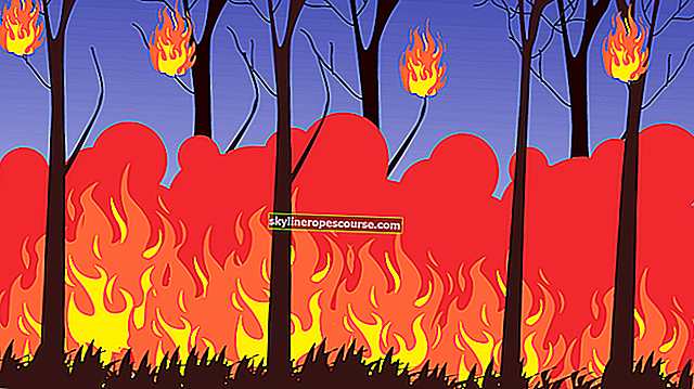 
   Dlaczego pożary lasów są ostatnio częste?
  