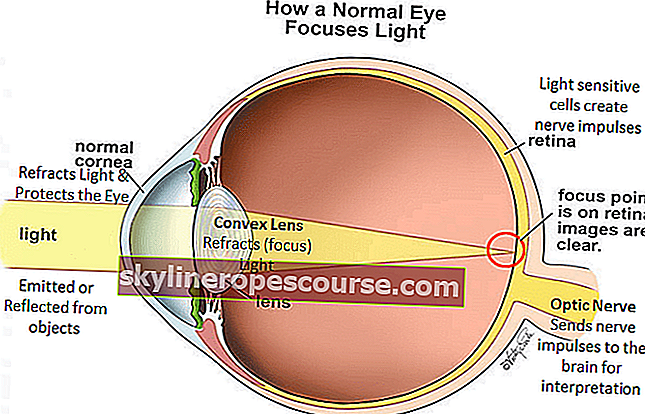 механизъм за зрение на очите
