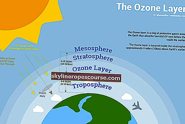 Probleme de mediu datorate ozonului și climatului