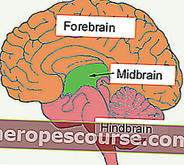 aktivacija srednjeg mozga