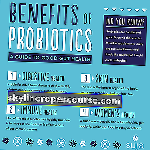 Suja-Saft Vorteile von Probiotika