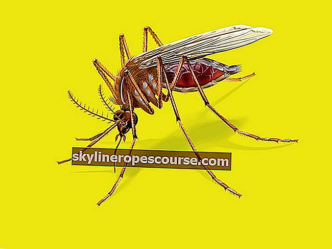 Zašto ugrizi komaraca oteknu i svrbe?