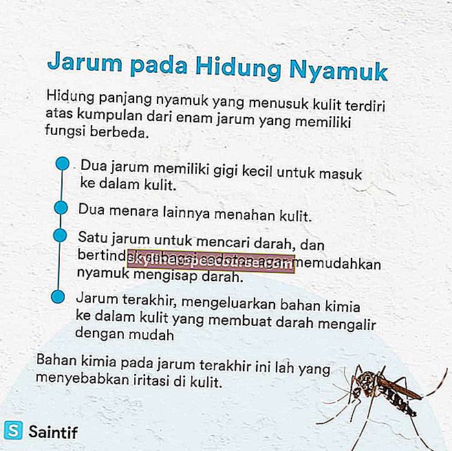 ubod komarca