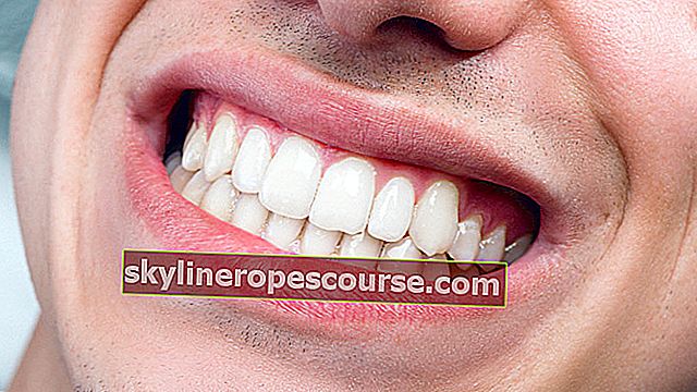 Zahnidentifikationstest